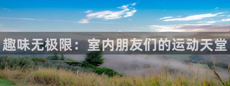 678体育官网下载招商:趣味无极限:室内朋友们的运动天堂