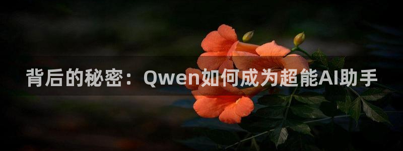 678体育官网下载平台是正规平台吗:背后的秘密:Qwen如何
